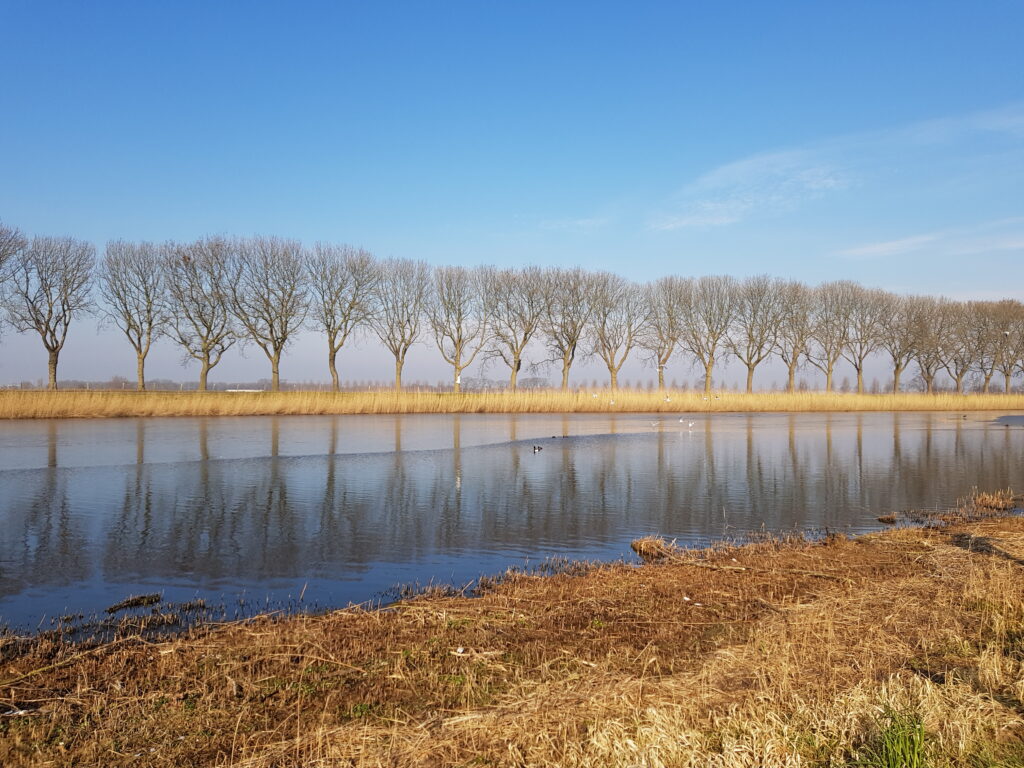 reflecteren volgens starr