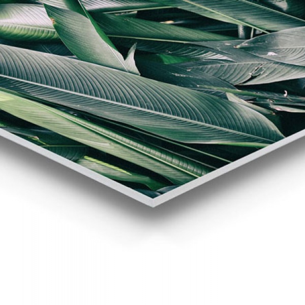 herinneringenoplinnen nl