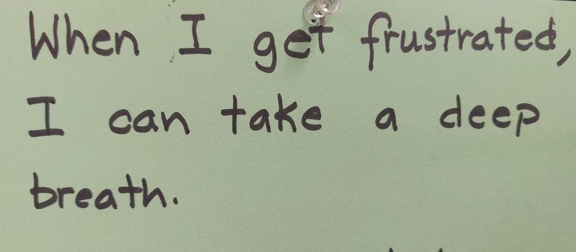 kritische reflectie scriptie