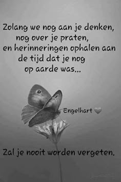 foto ter nagedachtenis